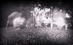  A photograph produced from a pinhole camera created from a pumpkin.