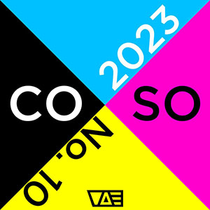 COSO 2023 Biennial