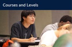 courses and levels
