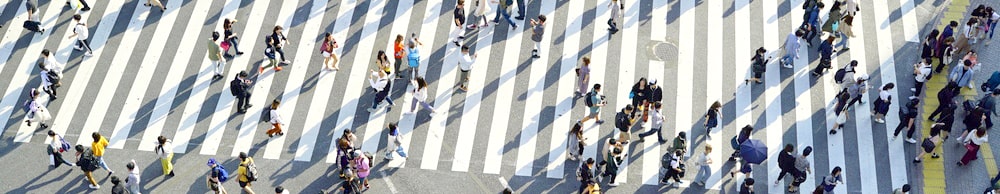 japanese crosswalk georgia japanese program